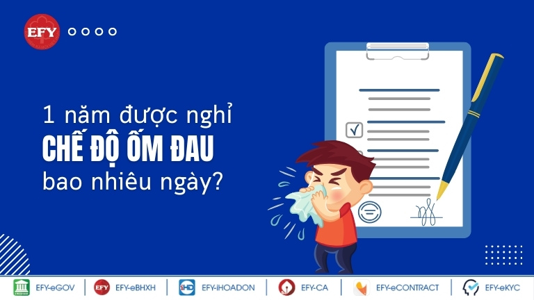 Một năm được nghỉ chế độ ốm đau bao nhiêu ngày?