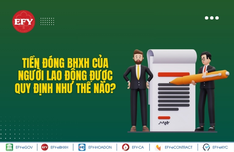 Tiền đóng BHXH của người lao động được quy định như thế nào?