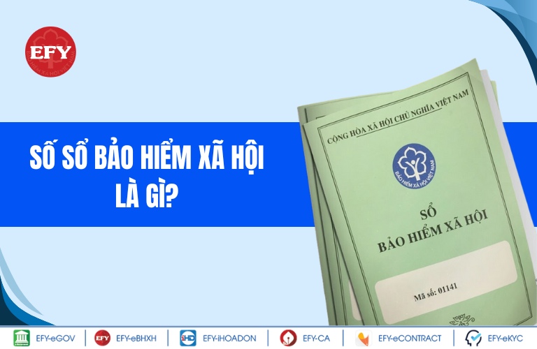 Số sổ bảo hiểm xã hội là gì?