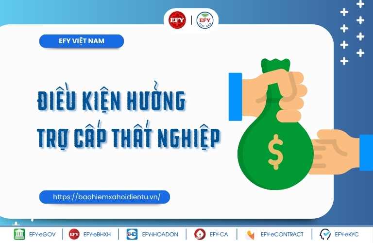 mức đóng và căn cứ đóng BHTN