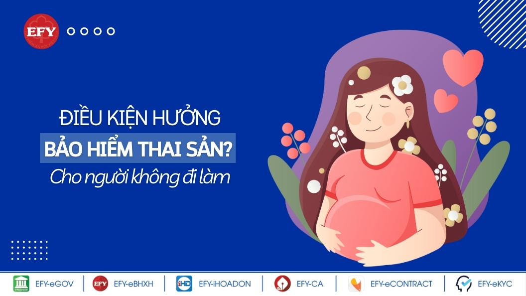 Điều kiện hưởng bảo hiểm thai sản cho người không đi làm
