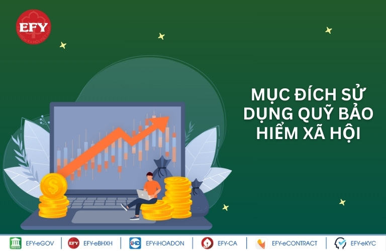 Sử dụng quỹ bảo hiểm xã hội nhằm mục đích gì?