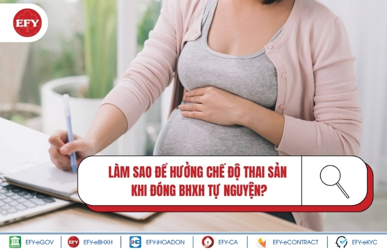 chế độ thai sản