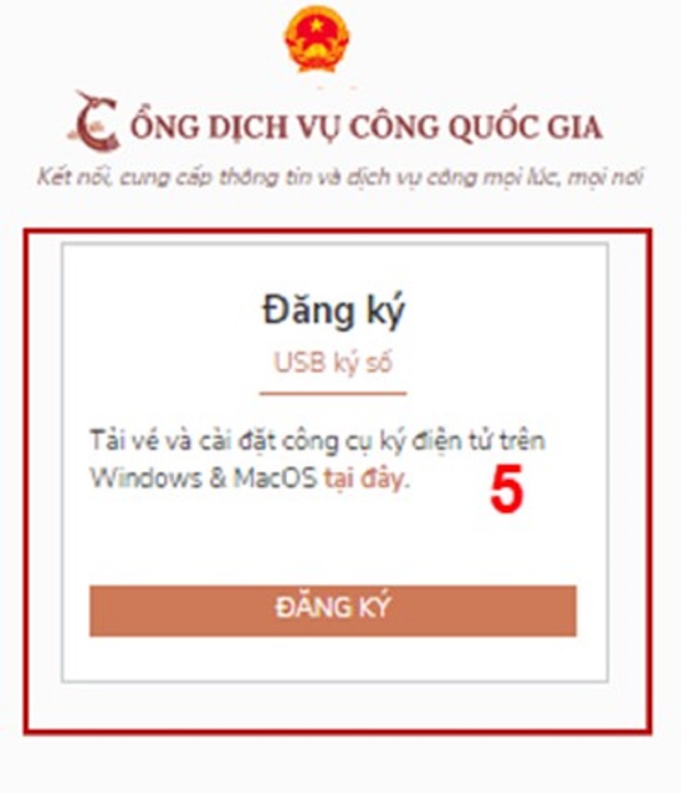 dvc