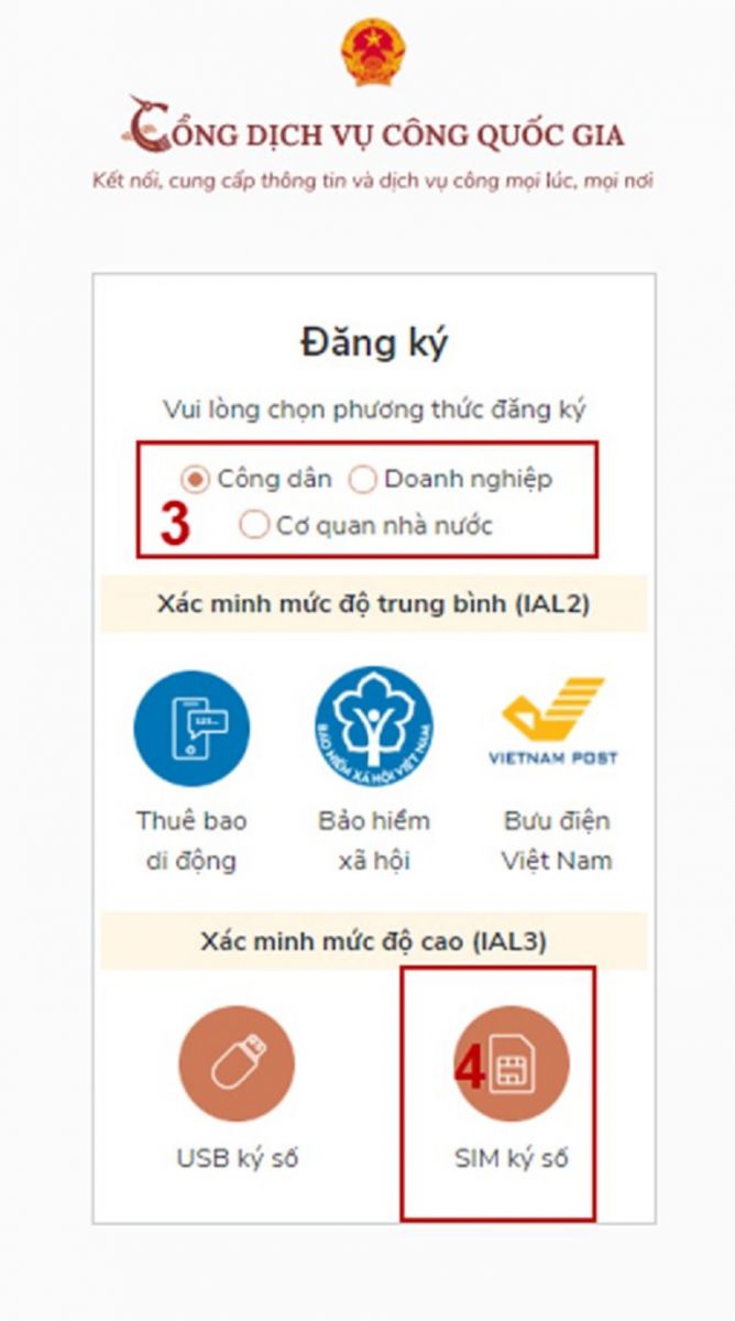 dvc
