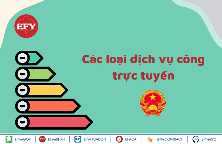 các loại dvc