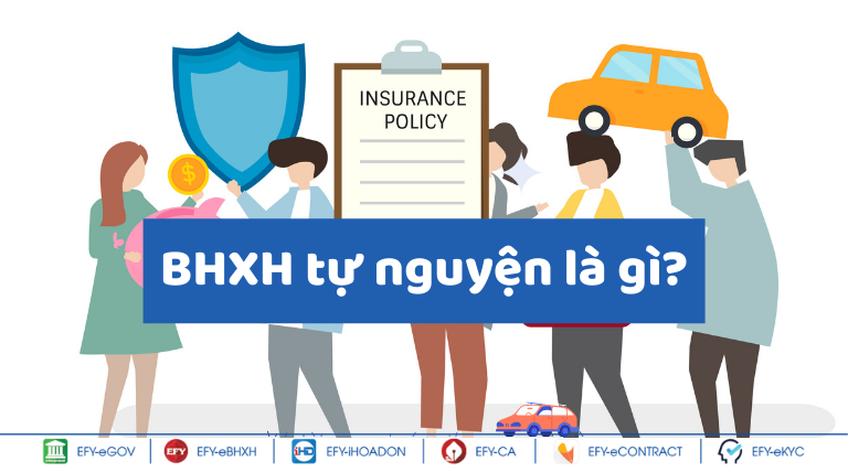 Bảo hiểm tự nguyện có mấy chế độ?