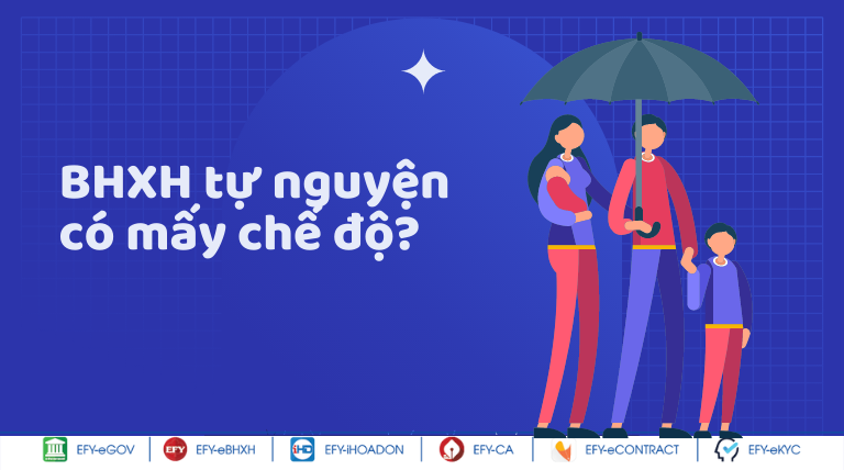 Bảo hiểm tự nguyện có mấy chế độ?