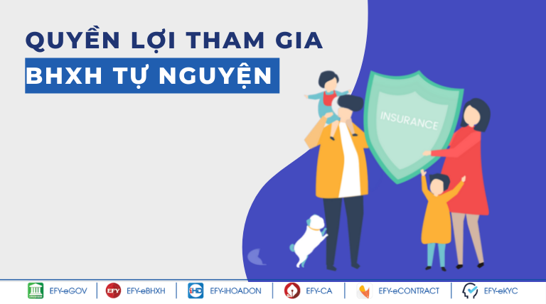Bảo hiểm tự nguyện có mấy chế độ?