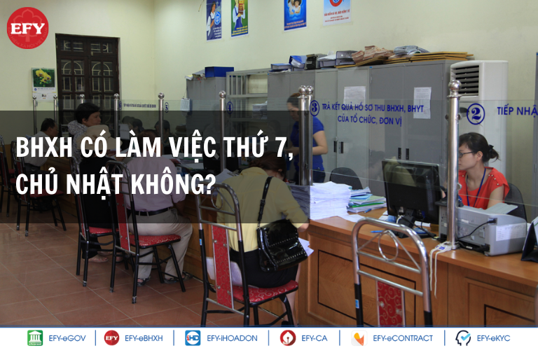 Bảo hiểm xã hội làm việc vào khung giờ nào? BHXH có làm việc tứ 7, chủ nhật không?