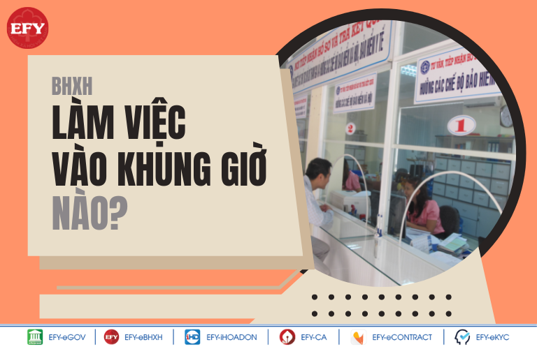 Bảo hiểm xã hội làm việc vào khung giờ nào? BHXH có làm việc tứ 7, chủ nhật không?