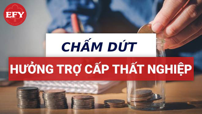 Các trường hợp chấm dứt hưởng trợ cấp thất nghiệp