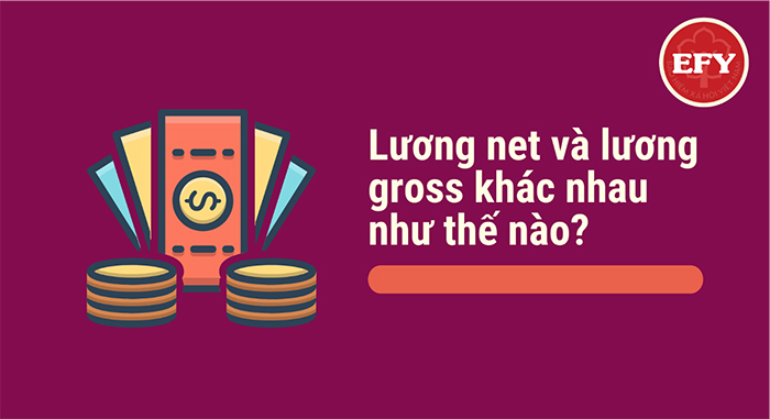 Khái niệm về lương Gross, lương Net là gì? Cách tính lương Gross và lương Net như thế nào?