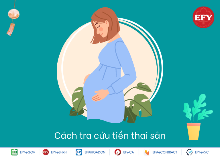 Hướng dẫn cách tính, cách tra cứu tiền thai sản khi người lao động sinh con