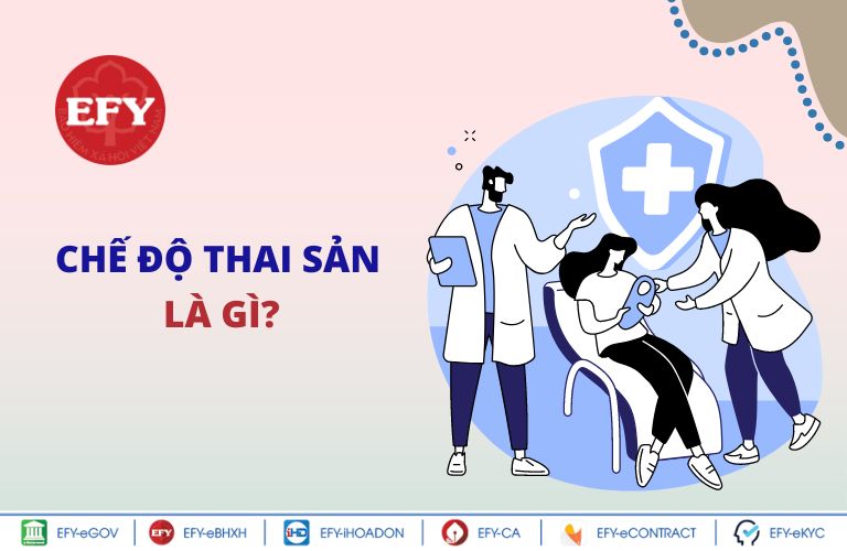 chế độ thai sản là gì