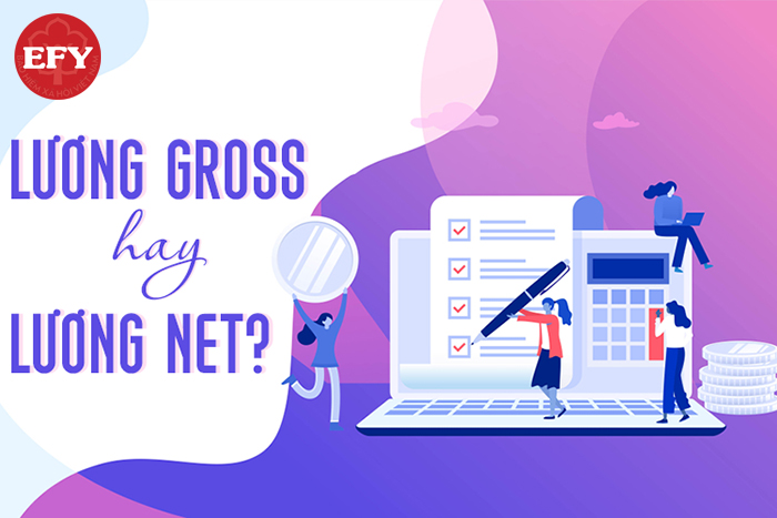 Nên chọn lương net hay lương gross