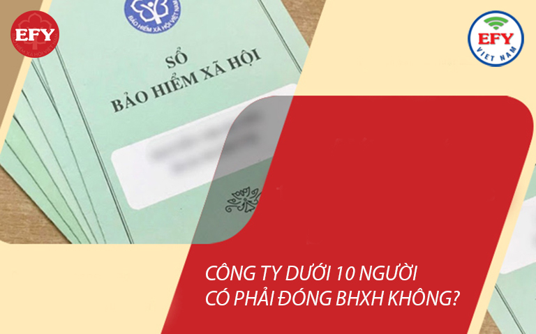 Công ty dưới 10 người có phải đóng bảo hiểm