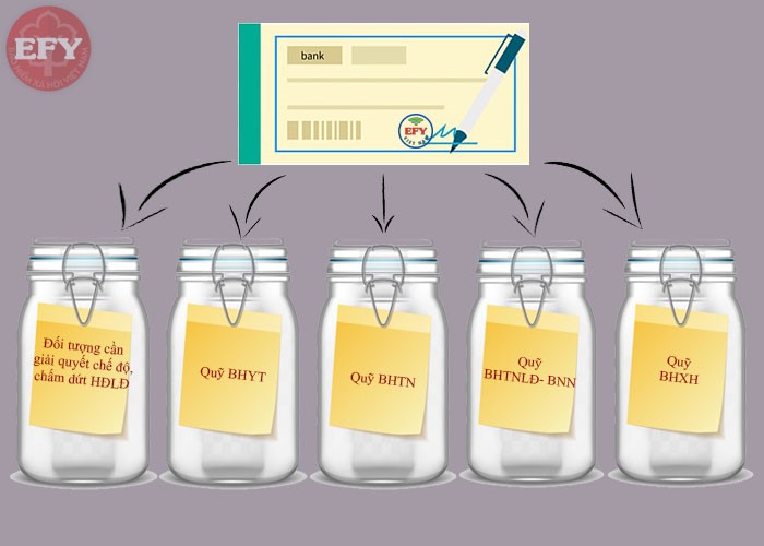 Điều chỉnh cách phân bổ tiền thu (nộp) BHXH, BHYT, BHTN, BHTNLĐ-BNN theo Quyết định 505/QĐ-BHXH
