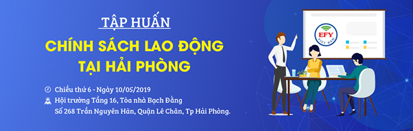 Hội nghị chuyên đề Lao động, Tiền lương, BHXH tại Hải Phòng