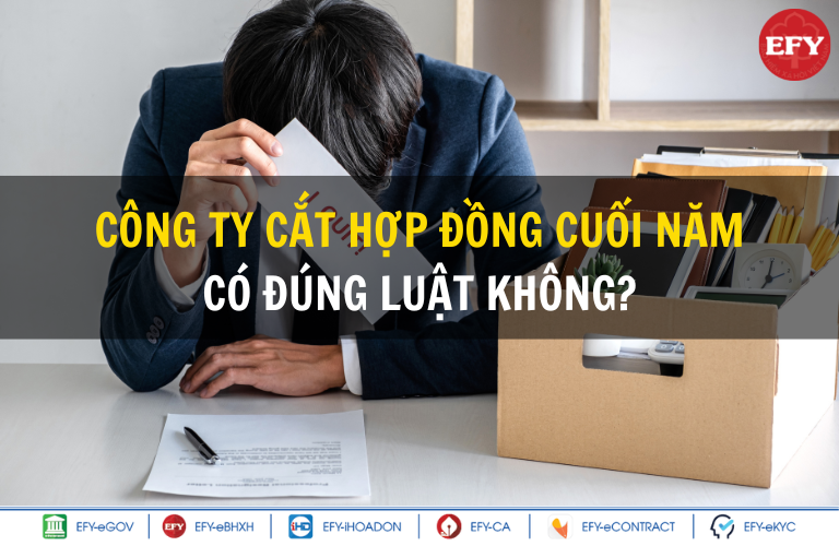 Làm gần hết năm thì bị cắt hợp đồng, có được nhận lương tháng 13?