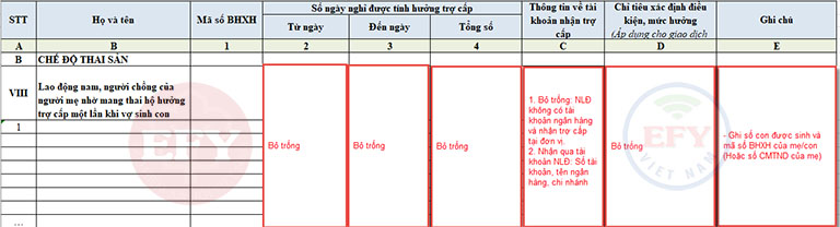 Lao động nam hưởng trợ cấp 1 lần khi sinh con