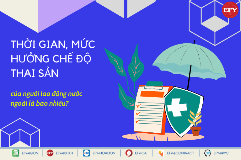 Lao động nước ngoài có được hưởng chế độ thai sản khi sinh con?