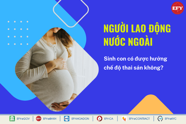 Lao động nước ngoài có được hưởng chế độ thai sản khi sinh con?