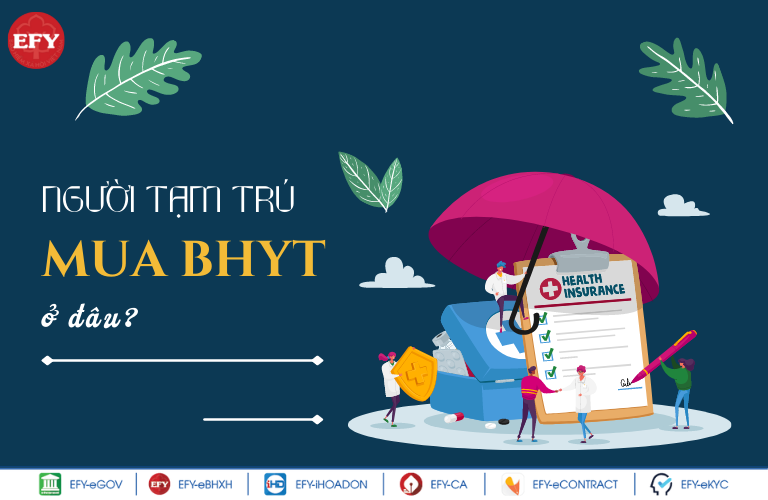 Người tạm trú tham gia bảo hiểm y tế theo nhóm đối tượng nào? Mua bảo hiểm y tế ở đâu? 