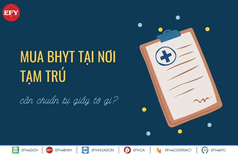 Người tạm trú tham gia bảo hiểm y tế theo nhóm đối tượng nào? Mua bảo hiểm y tế ở đâu? 