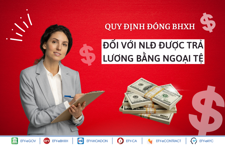 Quy định đóng BHXH đối với người lao động được trả lương bằng ngoại tệ