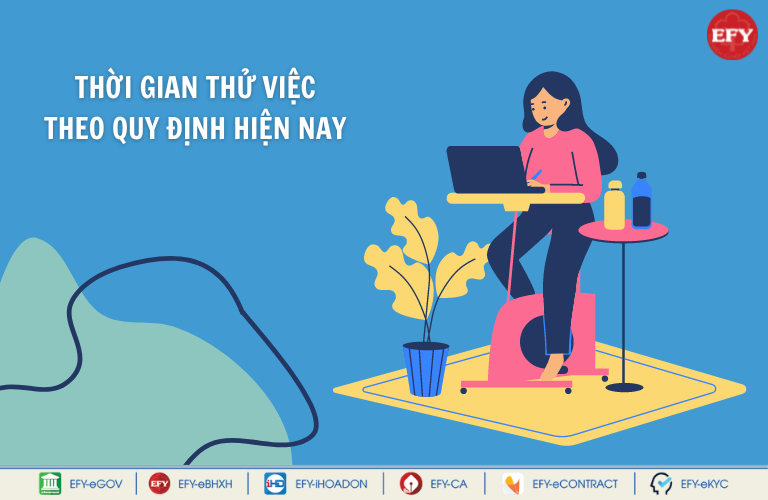 Thời gian thử việc có được hưởng lương ngày lễ, Tết không?