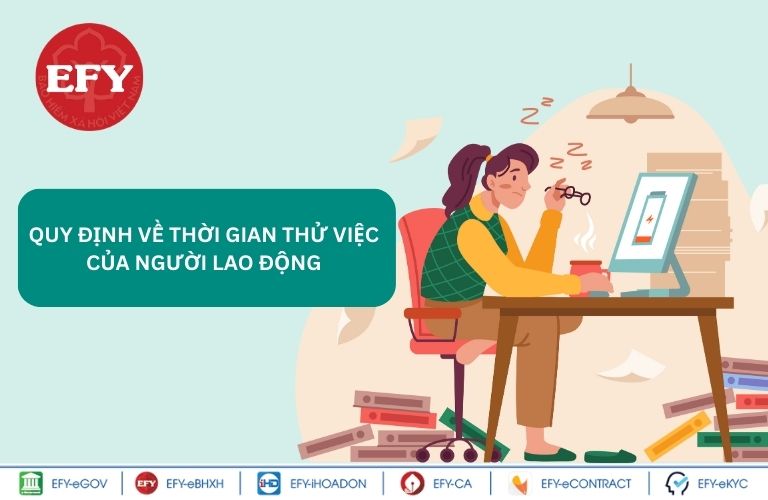 hợp đồng thử việc