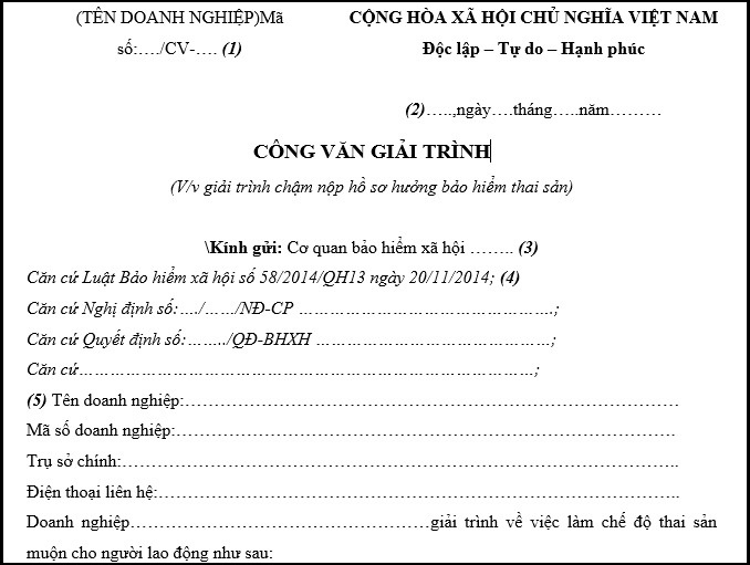 Mẫu văn bản giải trình chậm nộp hồ sơ hưởng chế độ thai sản