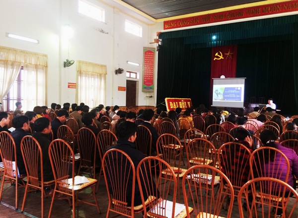 Triển khai giao dịch điện tử BHXH