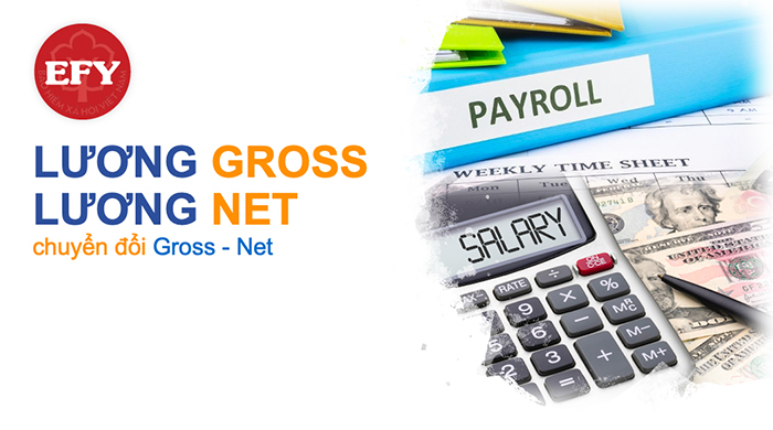 Khái niệm về lương Gross, lương Net là gì? Cách tính lương Gross và lương Net như thế nào?